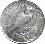 peace dollar back